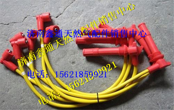 濰柴天然氣發(fā)動機(jī)高壓線/612600190709