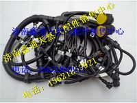 612600190736,濰柴天然氣發(fā)動(dòng)機(jī)線束,濟(jì)南鑫通天然氣銷售中心