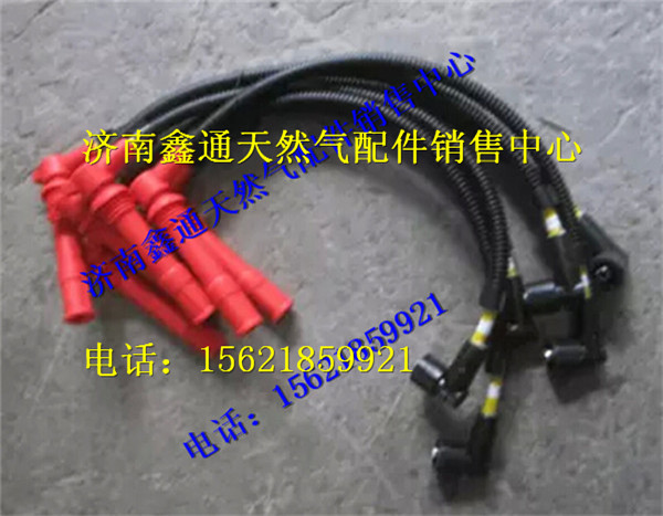 濰柴WP10燃氣高壓導線/612600190709