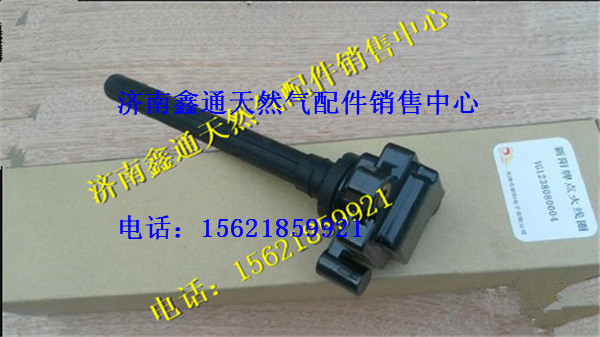 重汽天然氣點(diǎn)火線圈總成（T12)/VG1238080004