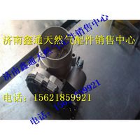 重汽天然氣電子節(jié)氣門