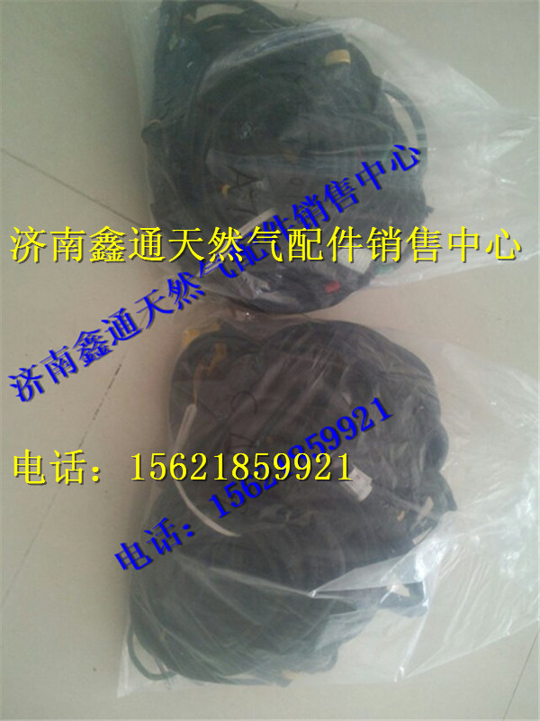 VG1092090052,重汽天然氣發(fā)動機(jī)線束,濟(jì)南鑫通天然氣銷售中心