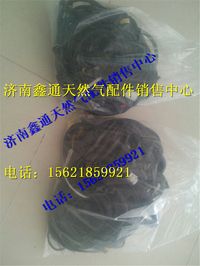 VG1092090052,重汽天然氣發(fā)動機(jī)線束,濟(jì)南鑫通天然氣銷售中心
