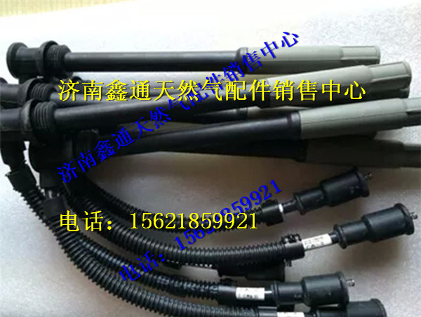 玉柴天然氣發(fā)動機(jī)高壓導(dǎo)線/MY100-3705070A