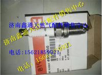 東風(fēng)康明斯燃氣發(fā)動機火花塞