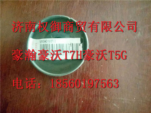 810W62642-0037,重汽新斯太爾左右儀表面罩組件WG1682167010WG1682167906,濟(jì)南權(quán)御進(jìn)出口有限公司