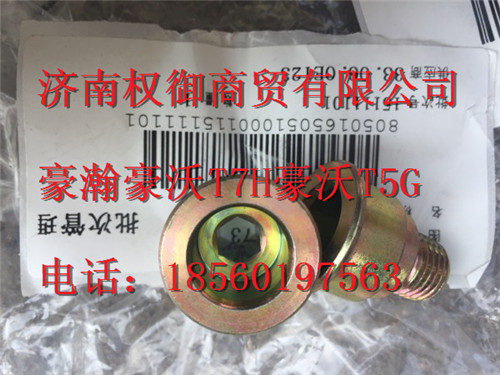 082V98150-0173,重汽新斯太爾左右儀表面罩組件WG1682167010WG1682167895,濟(jì)南權(quán)御進(jìn)出口有限公司