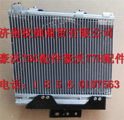 LG1613822122,重汽新斯太爾左右儀表面罩組件WG1682167010WG1682167265,濟南權(quán)御進出口有限公司