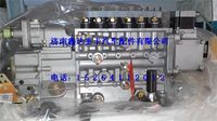 VG1592080050 ,中國國重汽杭發(fā)EGR噴油泵總成                        ,濟南鑫達重卡汽車配件有限公司