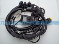 612600190739     ,濰柴天然氣發(fā)動機(jī)ECU線束                  ,濟(jì)南鑫達(dá)重卡汽車配件有限公司