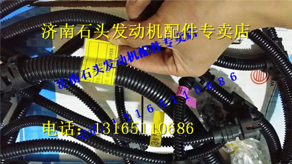 ,濰柴WP10傳感器線束,濟(jì)南金聰汽配