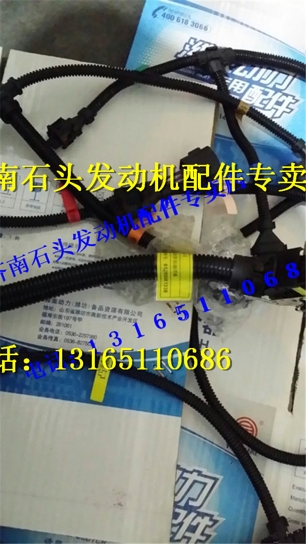 ,濰柴WP10傳感器線束,濟南金聰汽配