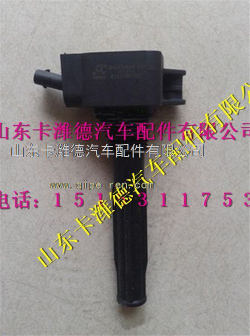 DQR2245-DM,濰柴LNG天然氣發(fā)動(dòng)機(jī)博世系統(tǒng)點(diǎn)火線(xiàn)圈,山東卡濰德汽車(chē)配件有限公司