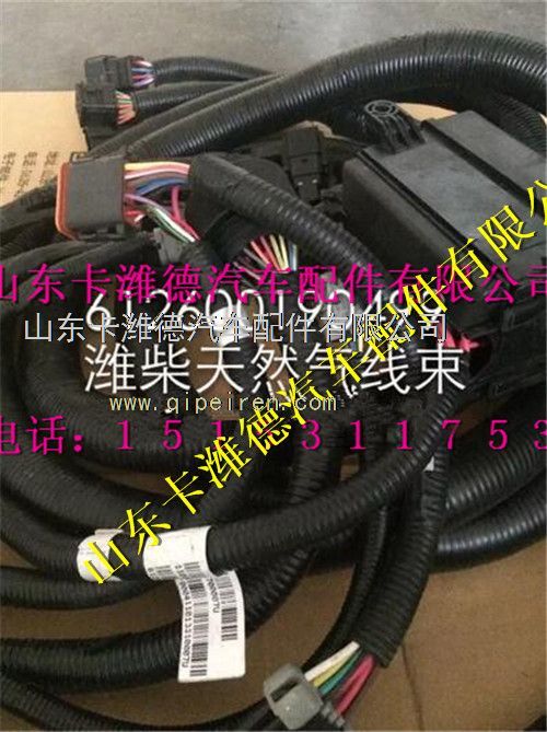 612600190499,濰柴WP10CNG天然氣發(fā)動機配件ECU線束,山東卡濰德汽車配件有限公司