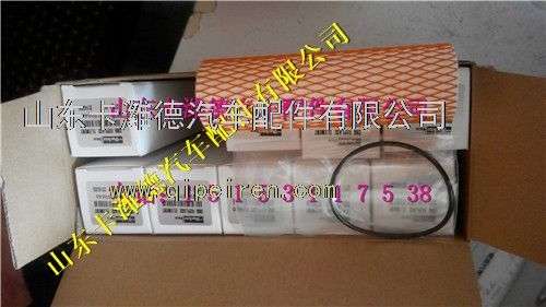 612600190646,濰柴天然氣LNG低壓濾清器濾芯,山東卡濰德汽車配件有限公司