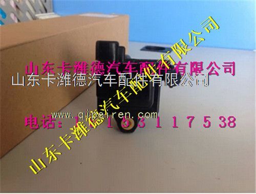 VG1092080015,重汽天然氣點(diǎn)火線圈總成,山東卡濰德汽車(chē)配件有限公司