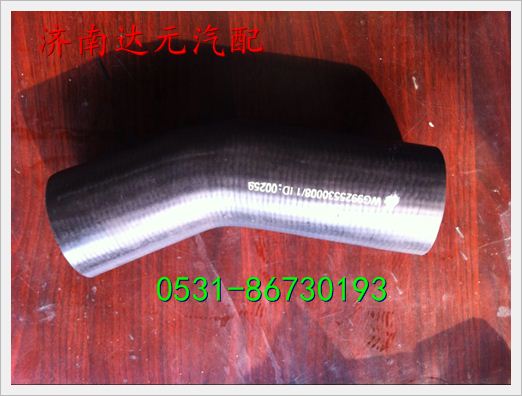 WG9925530008,,濟南達元汽配公司