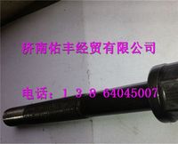 200V90020-0391,重汽曼MC11發(fā)動機(jī)后取力曲軸箱主軸承螺栓200V90020-0391,濟(jì)南佑豐經(jīng)貿(mào)有限公司（原鎬煜）