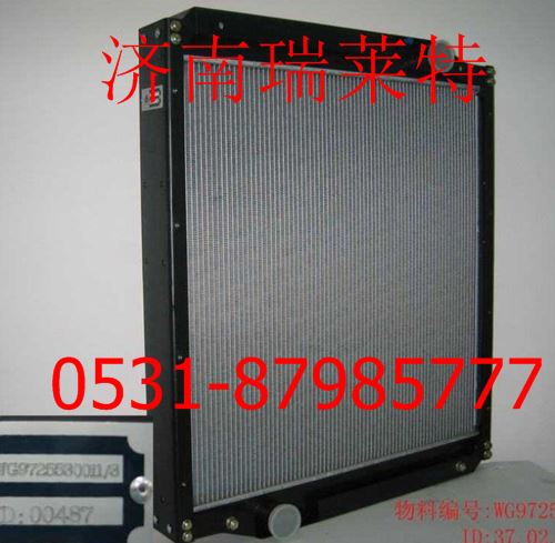 WG9725530011,,濟南瑞萊特汽車零部件有限公司