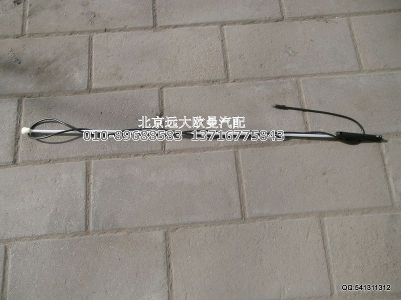 1B24979100040,天線(xiàn)總成,北京遠(yuǎn)大歐曼汽車(chē)配件有限公司