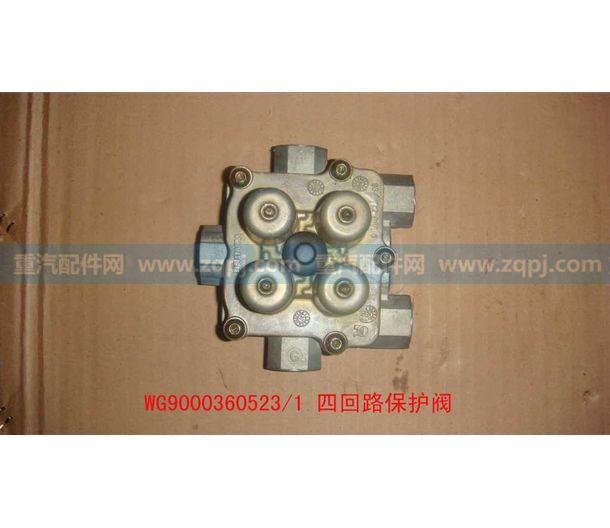 WG9000360523 