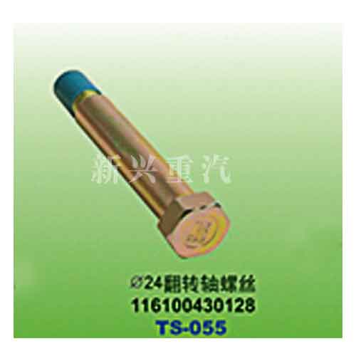 116100430128,直徑24翻轉軸螺絲,晉江新興螺絲有限公司