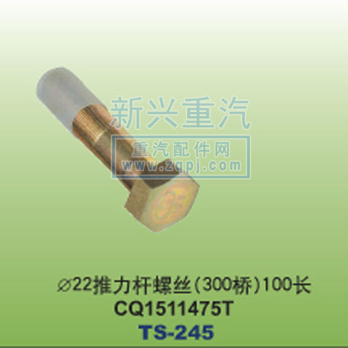 CQ1511475T,￠22推力桿螺絲300橋100長(zhǎng)CQ1511475T,晉江新興螺絲有限公司