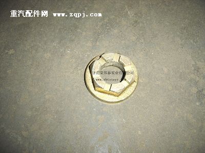 79000320013A,79000320013A.凸緣螺母(貫通軸),濟(jì)南港新貿(mào)易有限公司