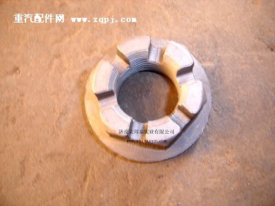 79000320013A,79000320013A.凸緣螺母(貫通軸),濟南港新貿(mào)易有限公司